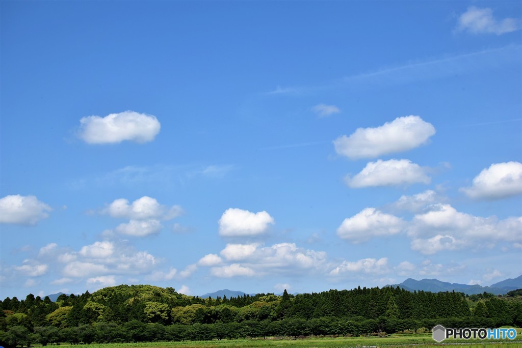 ぷかぷか♪