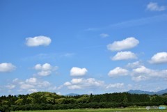 ぷかぷか♪