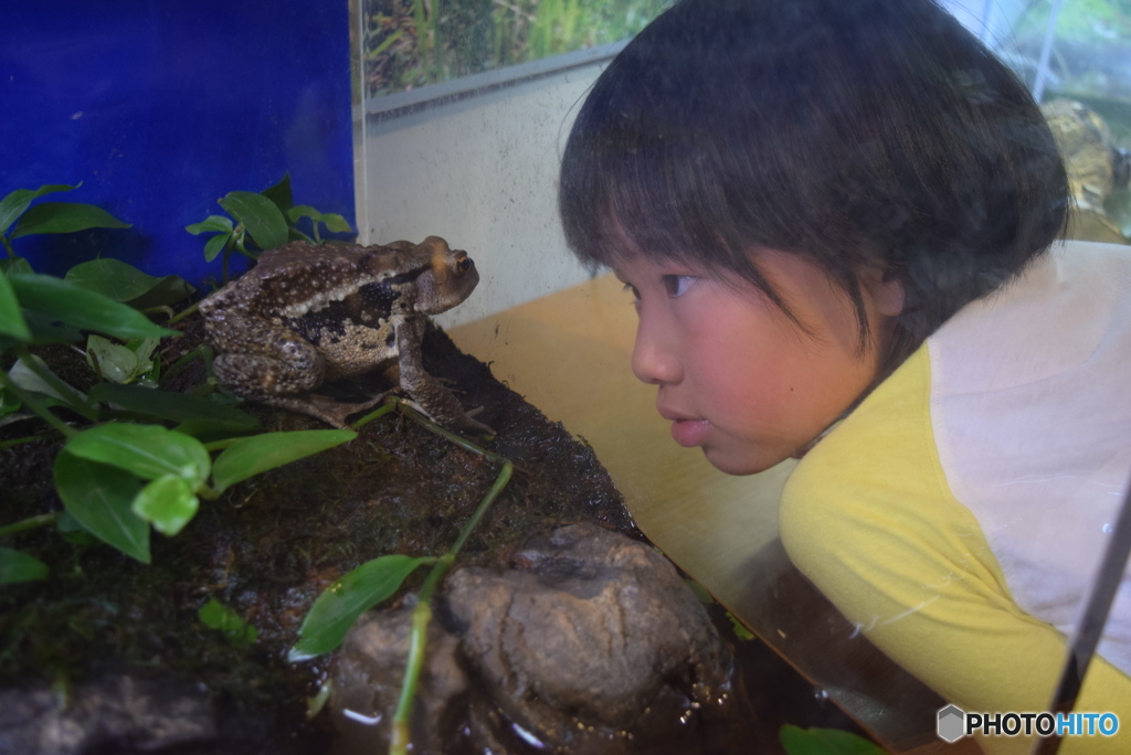 にらめっこ