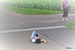ヒマワリ畑で･･･♪