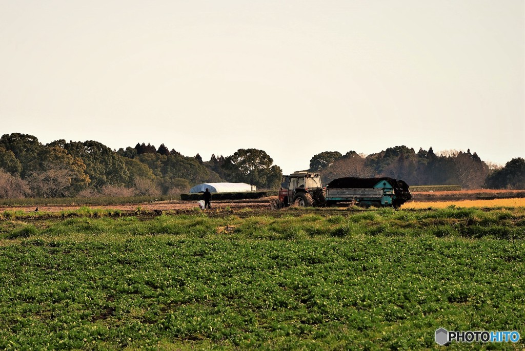 Farmer♪