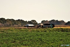 Farmer♪
