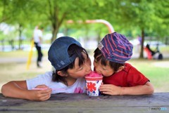 共食い♪