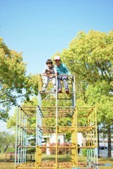 Jungle gym♪