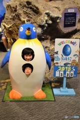 ペンギンきょうだい♪