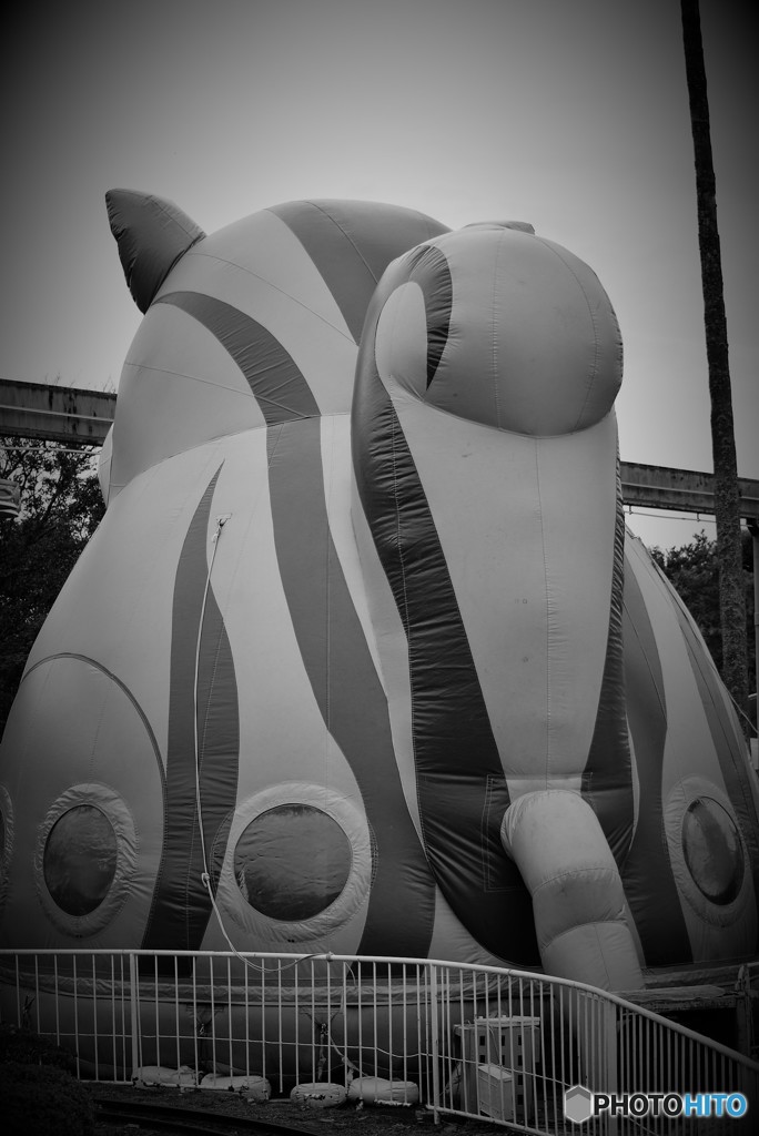 大きなお尻