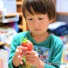 これが･･･( ﾟДﾟ)