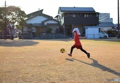 ボールは友達♪