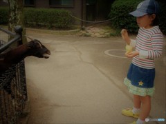 こわごわ