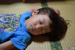 夢の中へ