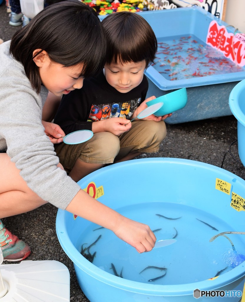 金魚すくい…いや何か変♪