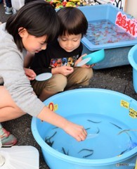 金魚すくい…いや何か変♪