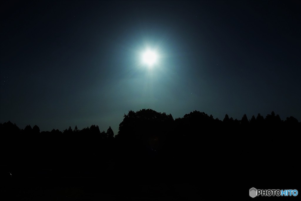 夜の太陽♪