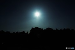 夜の太陽♪