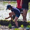はじめての田植え♪