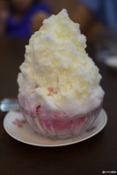 夏をあきらめきれず・・・