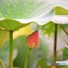 雨宿り♪