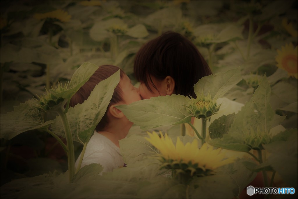 Summer Memory♪