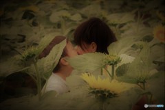 Summer Memory♪
