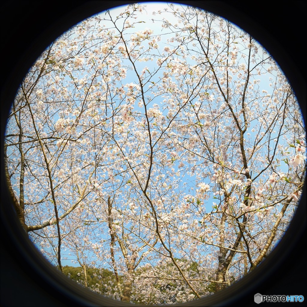 春の窓♪