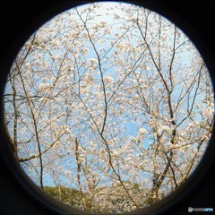 春の窓♪