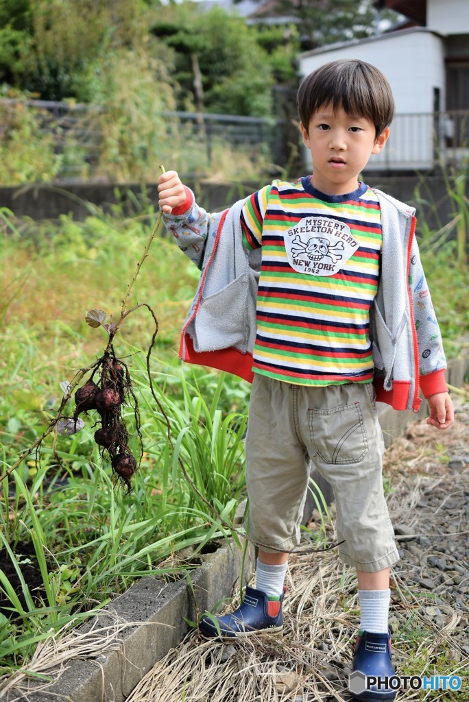 いもと一緒に♪