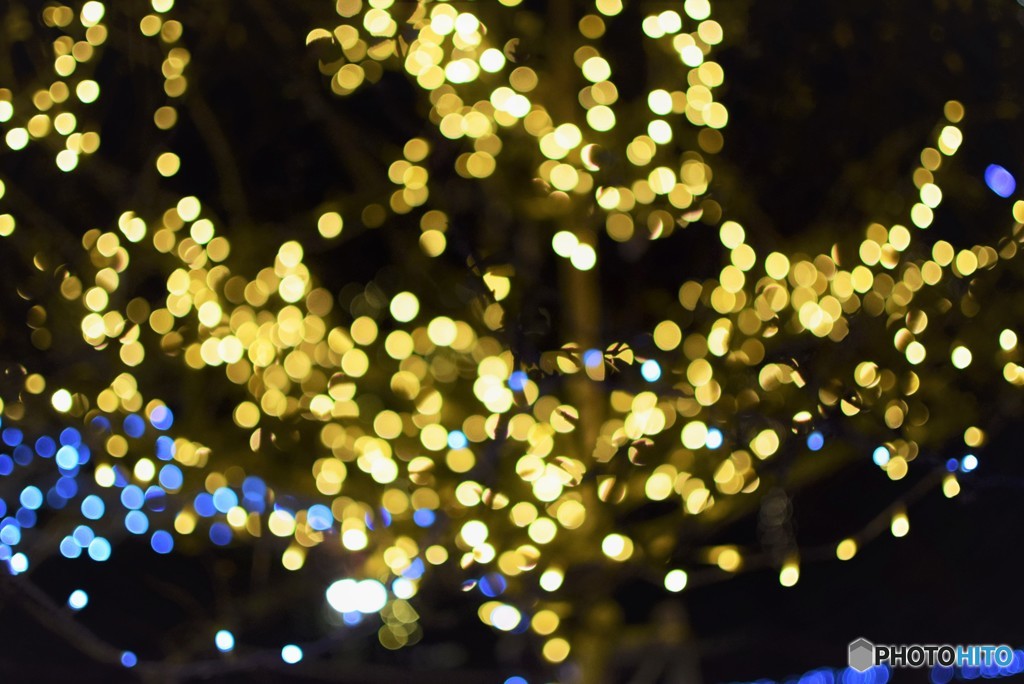 Christmas color♪