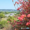 春の風景