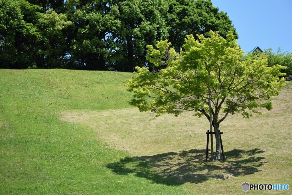 初夏の公園で♪