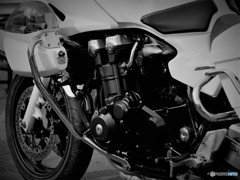 White Bike