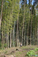 今は昔、竹取の翁といふものありけり♪