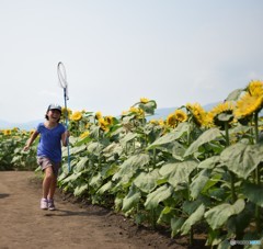 Summer running