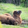 春の陽気に誘われて♪