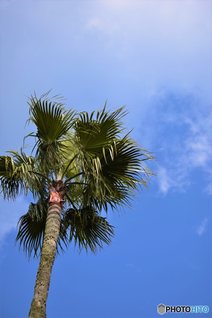 青空♪