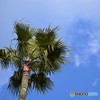 青空♪
