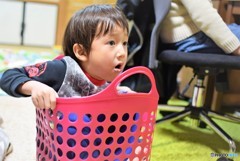 かご入り息子は見た！