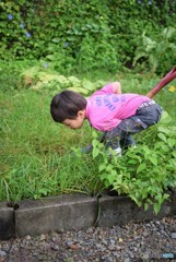 おとうとくん昆虫記♪
