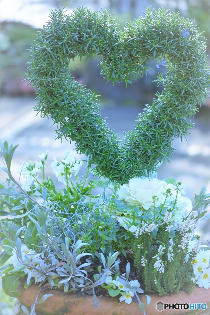 Happy Valentine♪