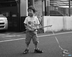 リボンの騎士