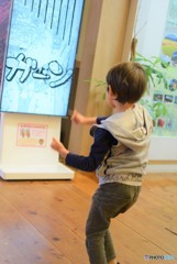 わが家のにゃんこスター♪