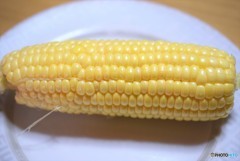 Fresh Sweet Corn♪