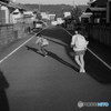 帰る人を撮る