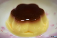 Pudding♡