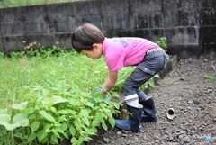 幼虫を探して･･･♪