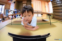 見入る♪