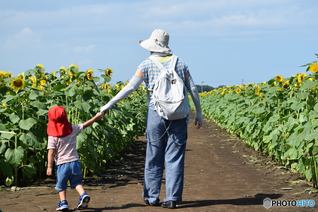 こっちかがいい!