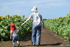 こっちかがいい!