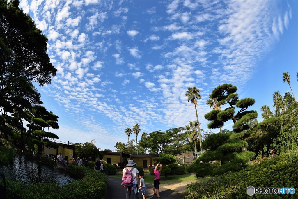 動物園と秋空♪