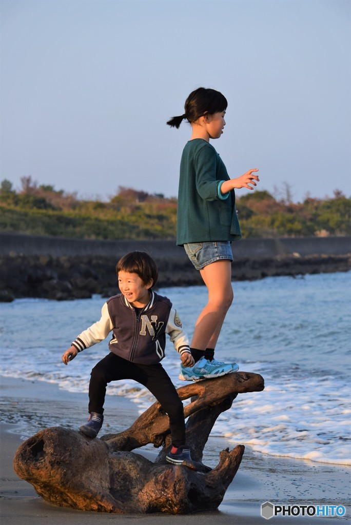 流木に乗って♪