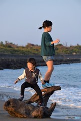 流木に乗って♪